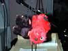 Dscn2802.JPG